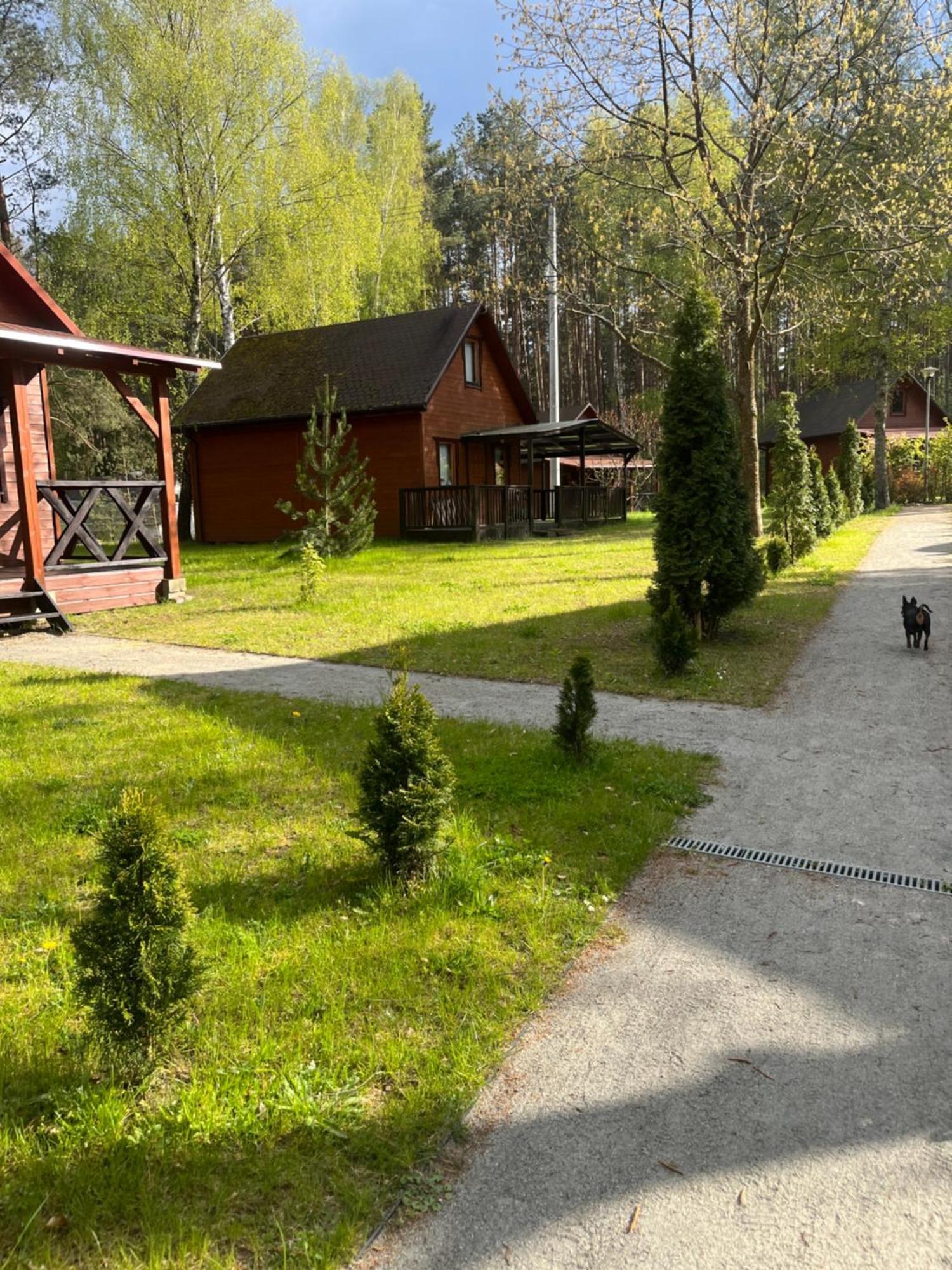 Domki Letniskowe Nad Jeziorem Kazub Cieciorka Zewnętrze zdjęcie